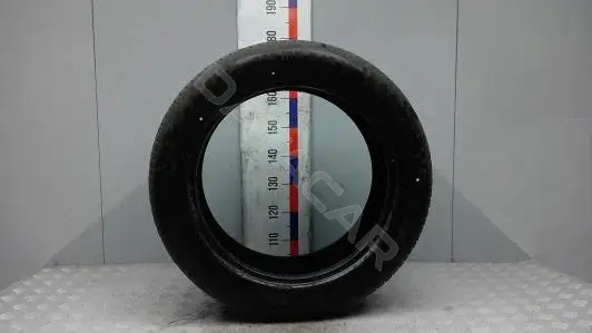 Шины 22555R19