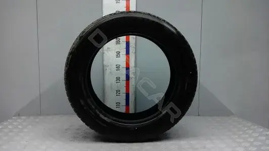 Шины 22555R19