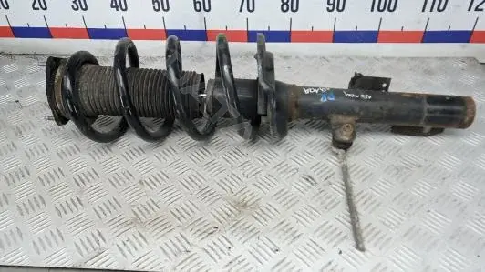 Амортизаторы 1BM24N801