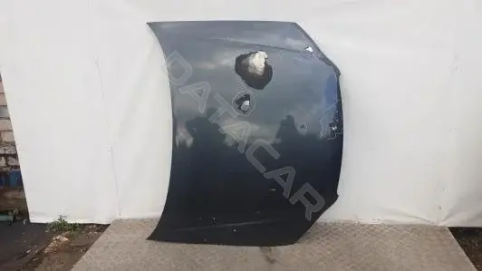 Капот 4BL19D201