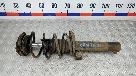 Амортизаторы 1T0413031GG