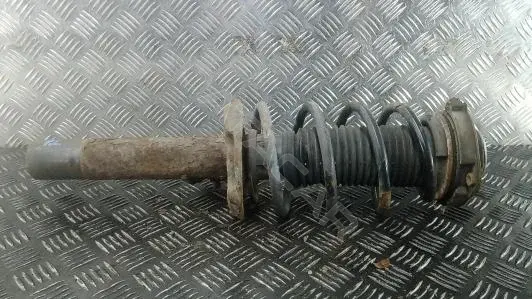 Амортизаторы 1T0413031GG
