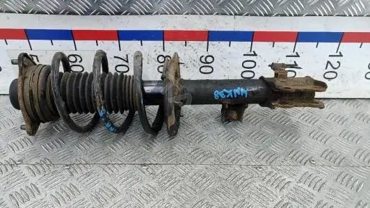 Амортизаторы 4NK38N801