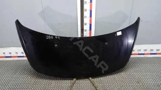 Капот DBG22D201