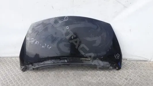 Капот SEA24D201