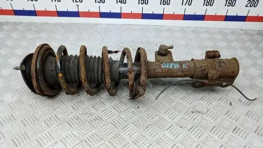 Амортизаторы OEP31N801