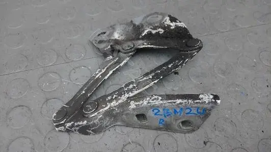 Петля капота 2BM24D502