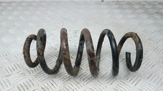 Пружины FEP25MG02