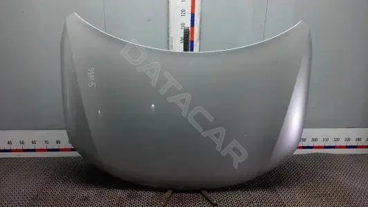 Капот 664002P000