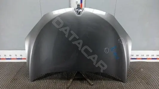 Капот 651009018R