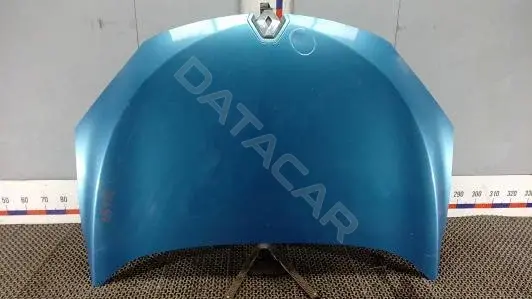 Капот BLK54D201