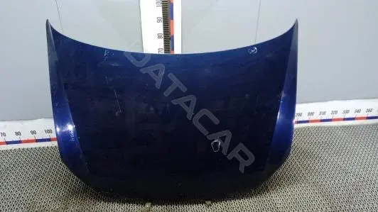Капот EEP24D201