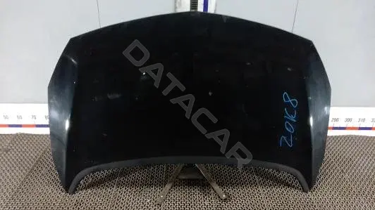 Капот ZOK08D201