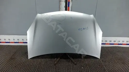 Капот ZOK20D201