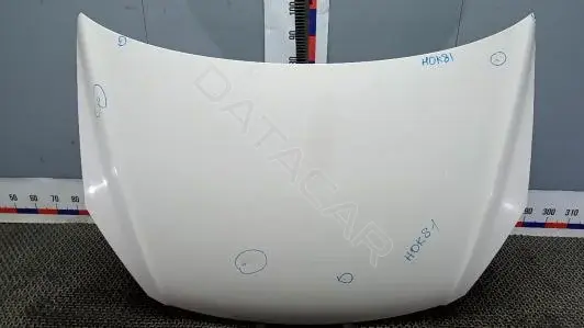 Капот 664002R010