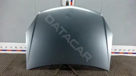 Капот ALK41D201
