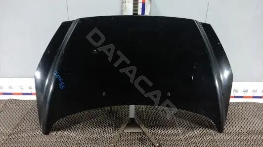 Капот ZOK55D201