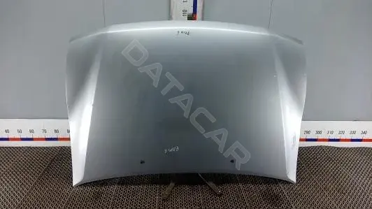 Капот PBM06D201