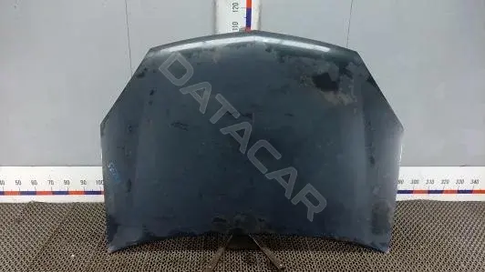 Капот SEP47D201