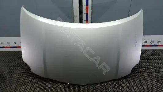 Капот NOK29D201