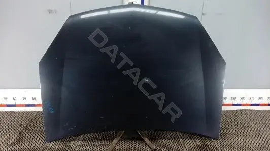 Капот DLK06D201