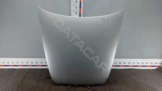 Капот PEP22D201