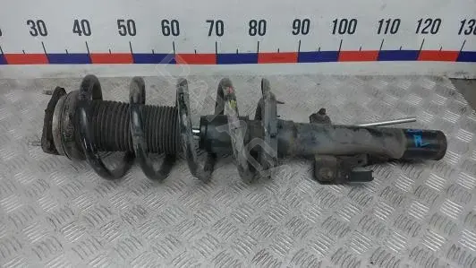 Амортизаторы 2BM09K801