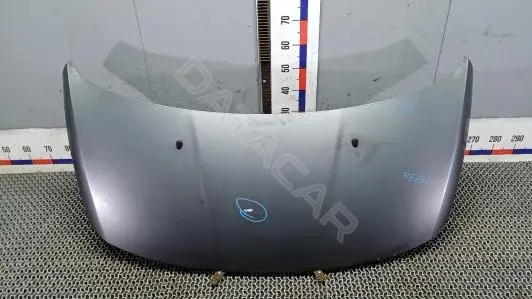 Капот 6EP36D201