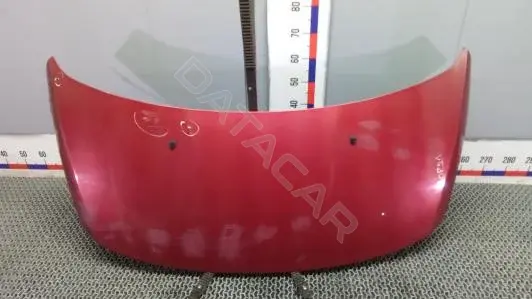 Капот 2OR21D201
