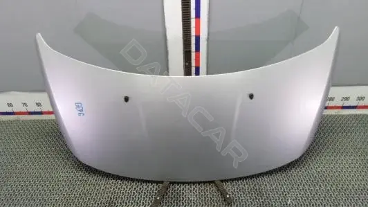 Капот GEP06D201