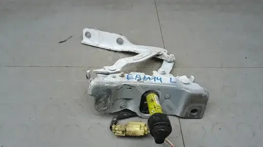 Петля капота EBM14D501
