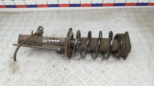Амортизаторы E4302BR24A
