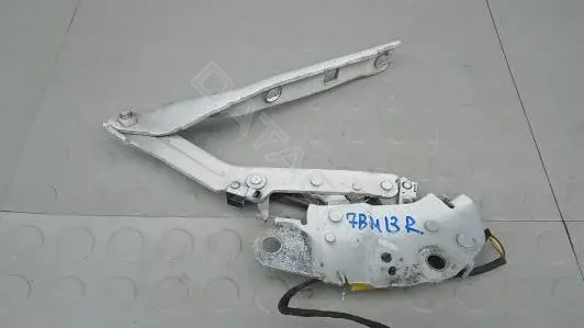 Петля капота 5NA823302G