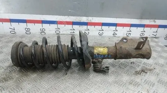 Амортизаторы 13419921, 345011