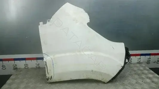 Крыло переднее ZDN19EC01