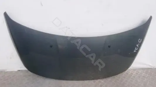 Капот PEA06D201