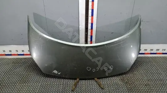 Капот ABL06D201