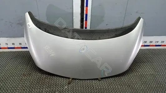 Капот 1160017, 13269744, 93167925