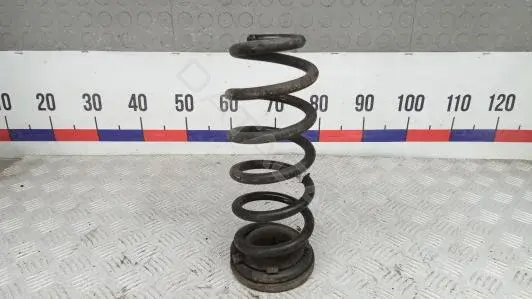 Пружины 55350F1CB0