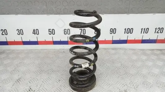 Пружины 55350F1CB0
