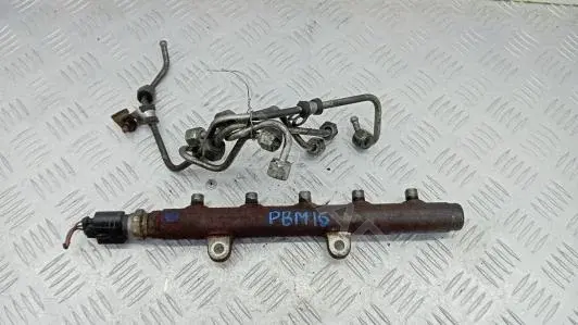 Топливная рейка BK2Q-9D280-AB