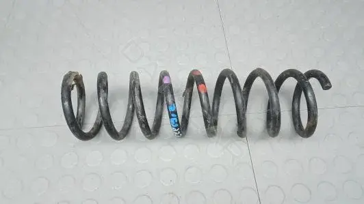 Пружины EEP19LY02