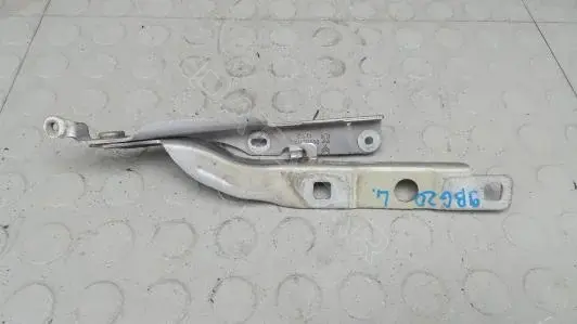 Петля капота 9BG20D502