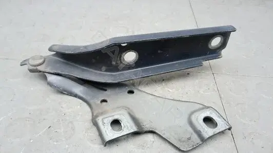 Петля капота CBM19D501