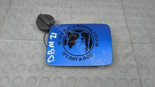 Крышка лючка топливного бака DBM21IC01