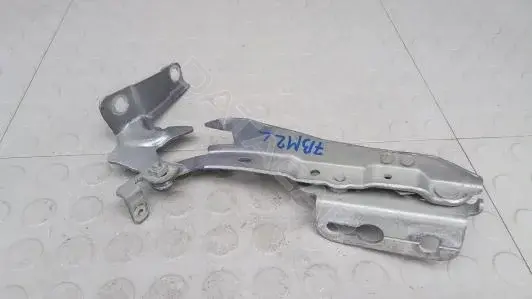 Петля капота 7BM02D502