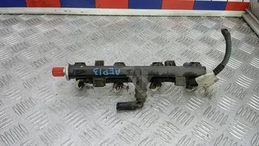 Топливная рейка AEP13TJ01