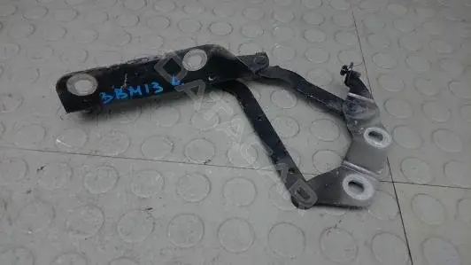 Петля капота 3BM13D501
