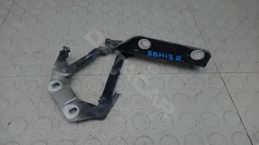 Петля капота 3BM13D502