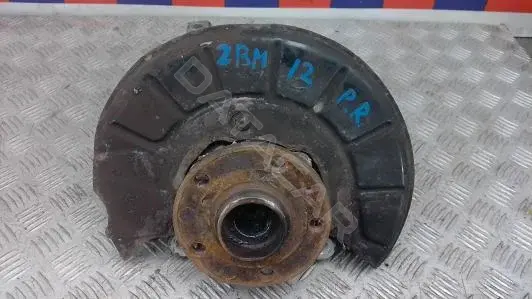 Ступица колеса 1K0407621F, 3C0407254F